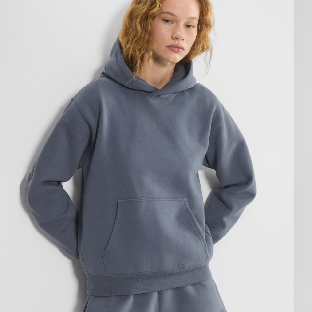 Purple/Grey Aritzia Hoodie